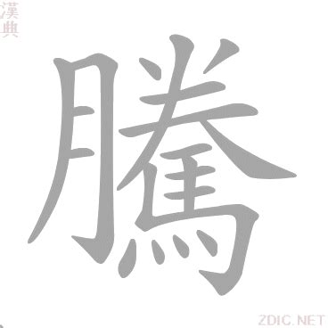 騰字|腾的解释